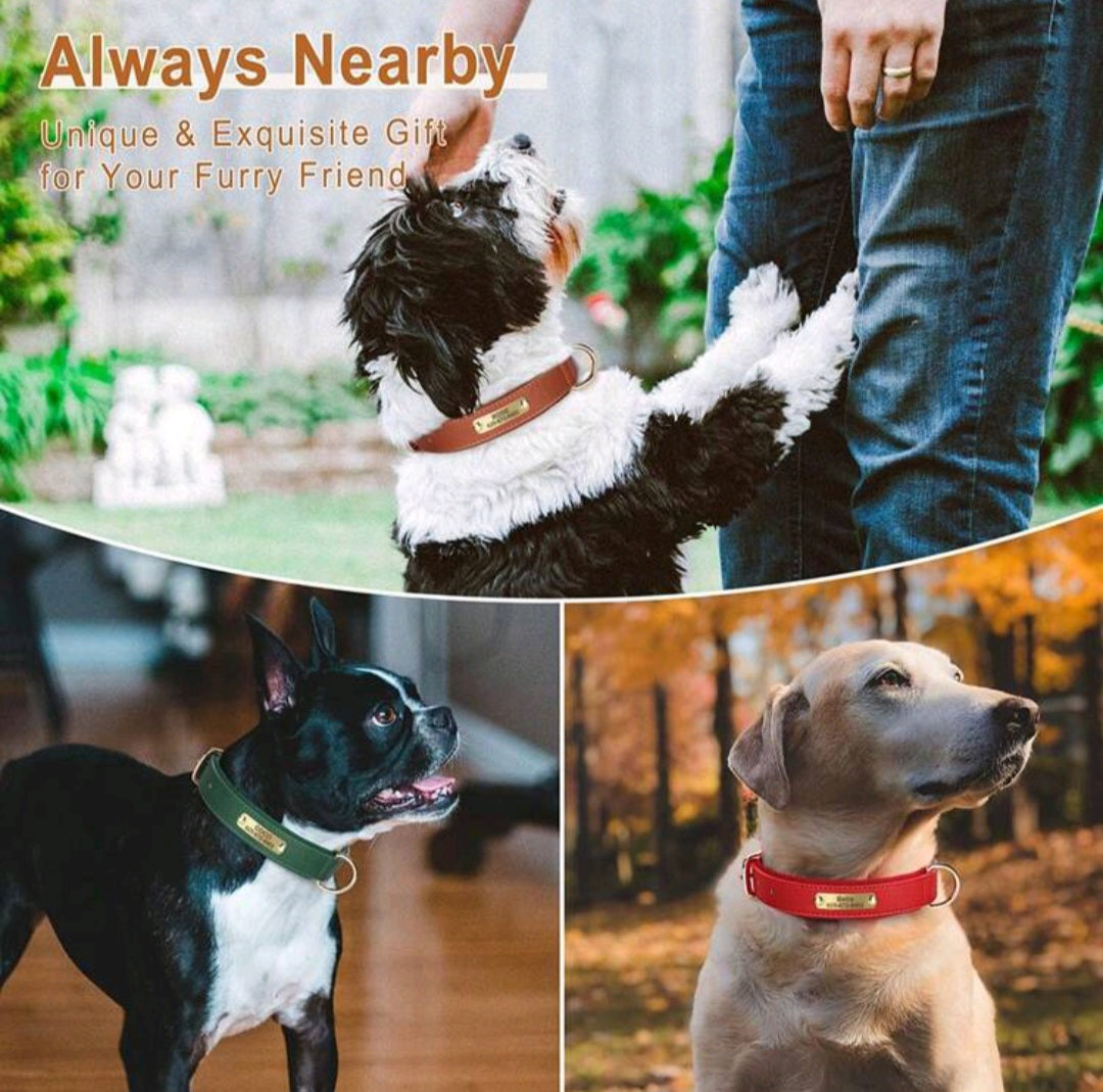 Solid Color Leather Anti-Rust Soft Laser Engraved Customized Pet Collar