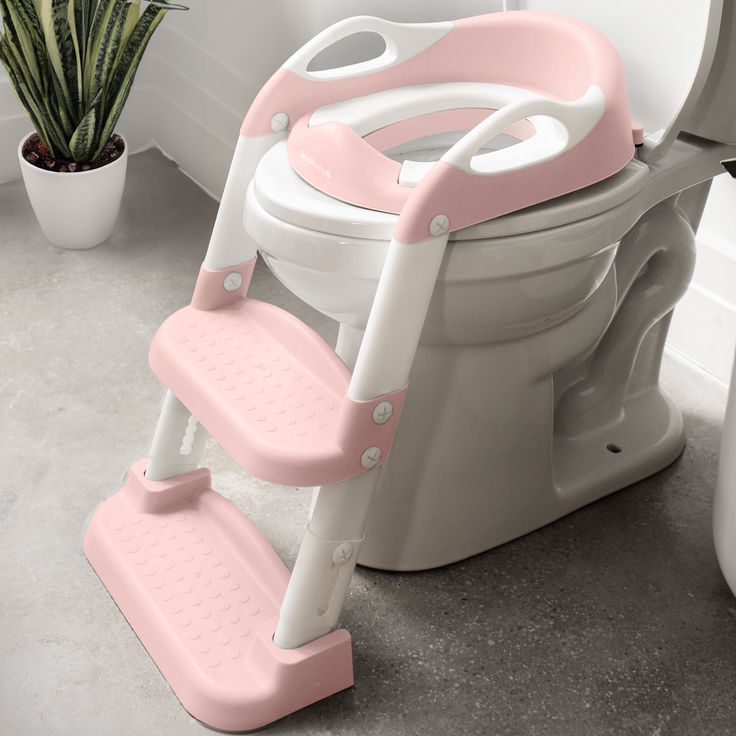 Potty Training Seat With Ladder