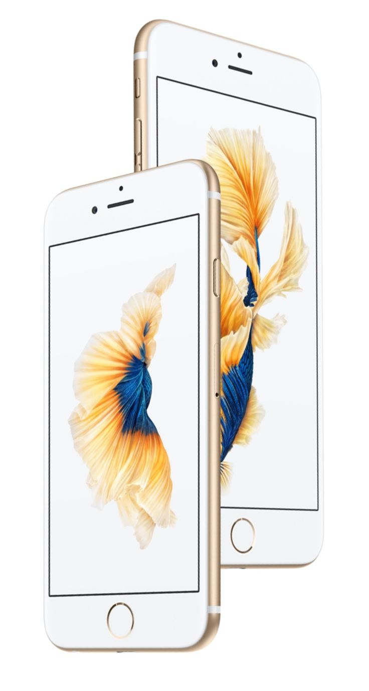 iPhone 6